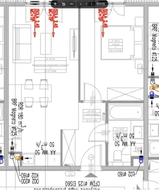 Kocięta Brytyjskie krótkowłose gotowe do odbioru. 4